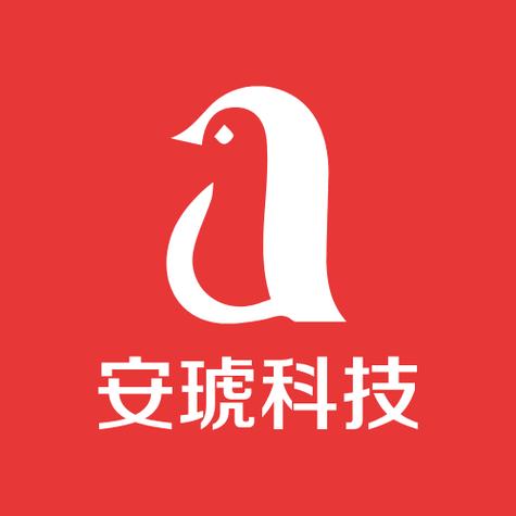 上海安琥信息科技