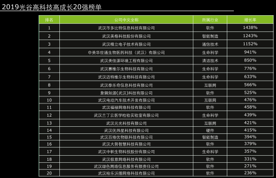 上市公司摇篮&ldquo;德勤光谷20强&rdquo;放榜:软件、生命科学企业过半